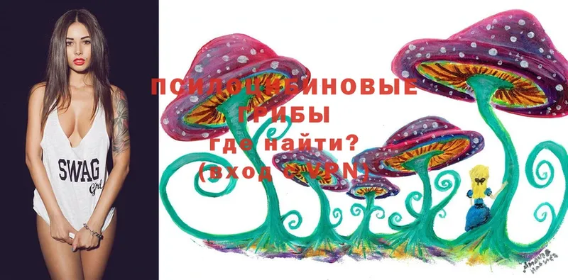 Псилоцибиновые грибы Psilocybe  kraken вход  Знаменск 